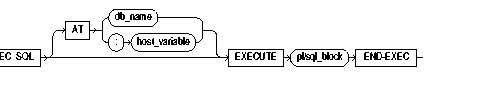 EXECUTE...END-EXEC