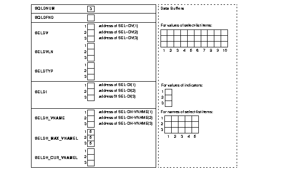 Initialized Select Descriptor