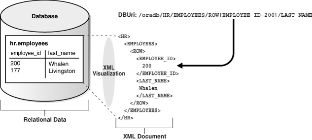 Description of Figure 20-1 follows