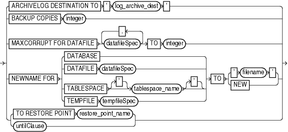 Description of setrunoption.gif follows