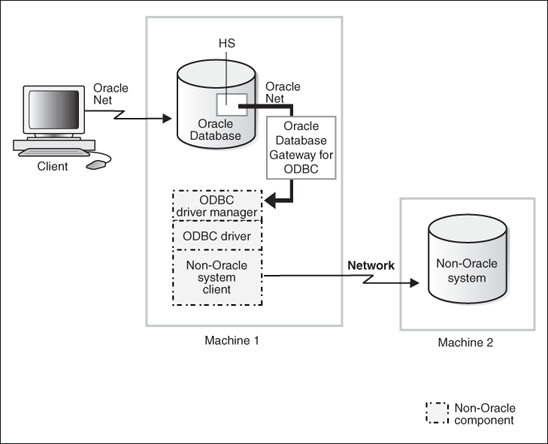 Description of Figure 1-1 follows