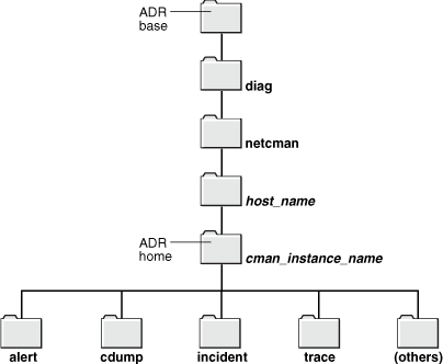 Description of Figure 16-2 follows