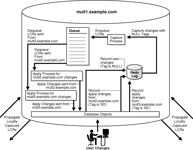 Description of Figure 10-2 follows