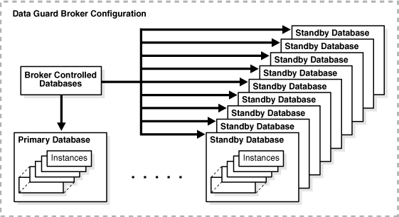 Description of Figure 1-1 follows