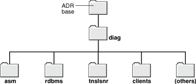 Description of Figure 9-1 follows