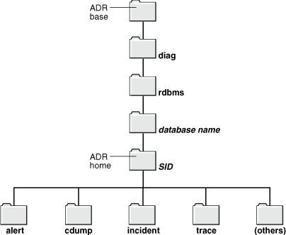 Description of Figure 13-8 follows