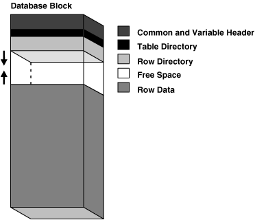 Description of Figure 12-6 follows