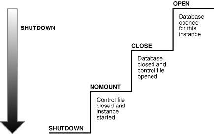 Description of Figure 13-4 follows