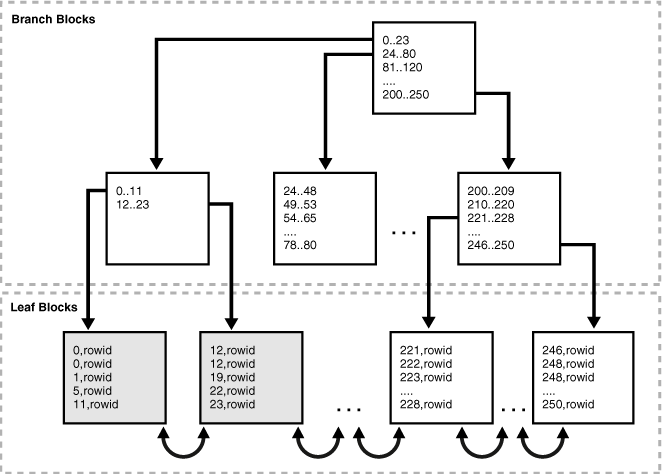 Description of Figure 12-13 follows